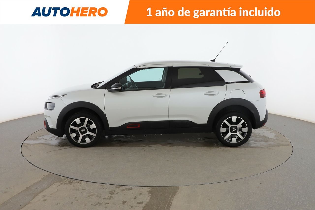 citroën c4 cactus 2019 / foto grande (3)