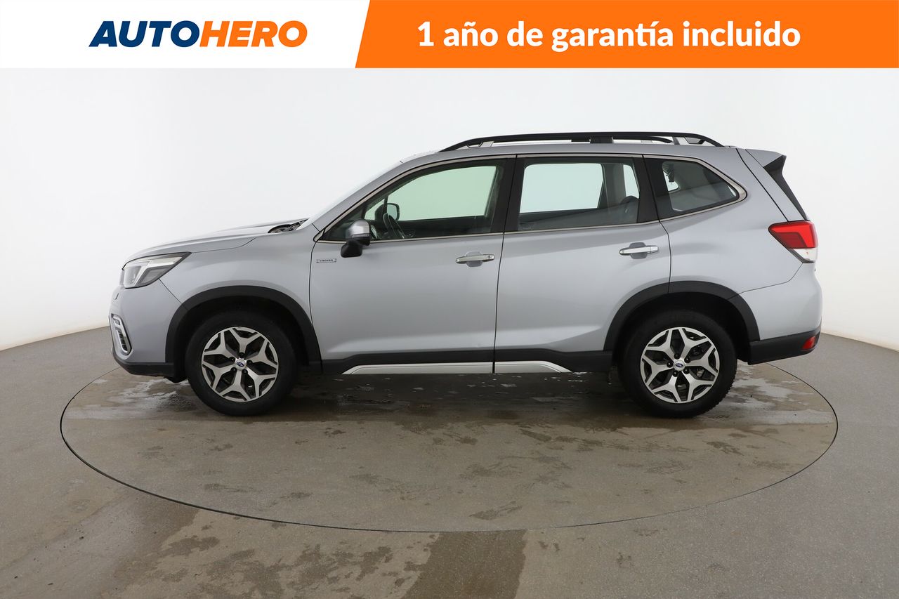 subaru forester 2021 / foto grande (3)