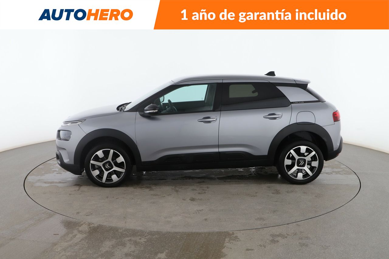 citroën c4 cactus 2019 / foto grande (3)