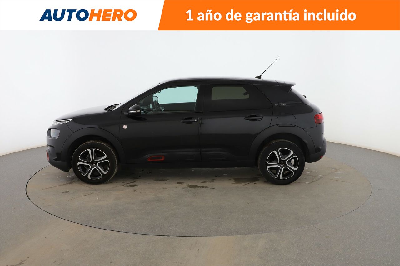 citroën c4 cactus 2020 / foto grande (3)