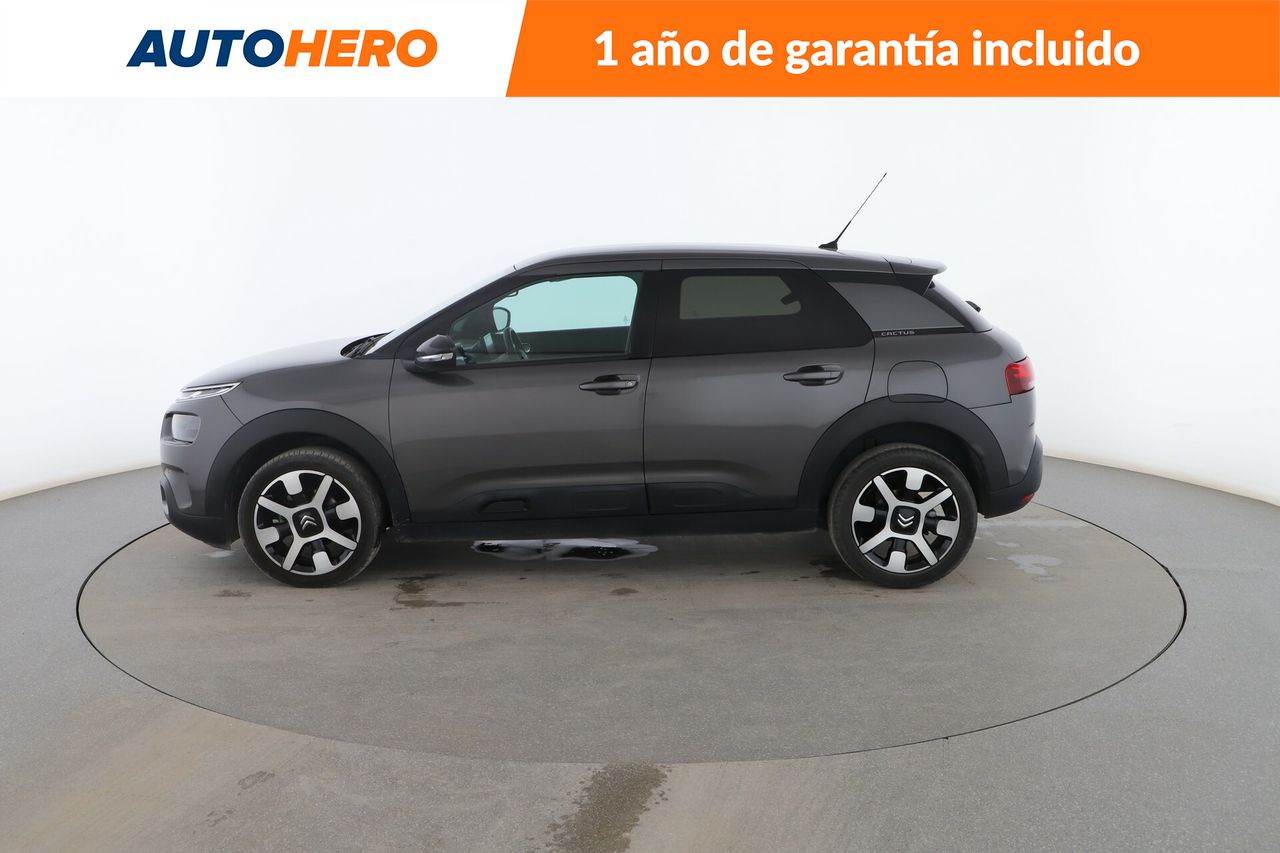 citroën c4 cactus 2019 / foto grande (3)
