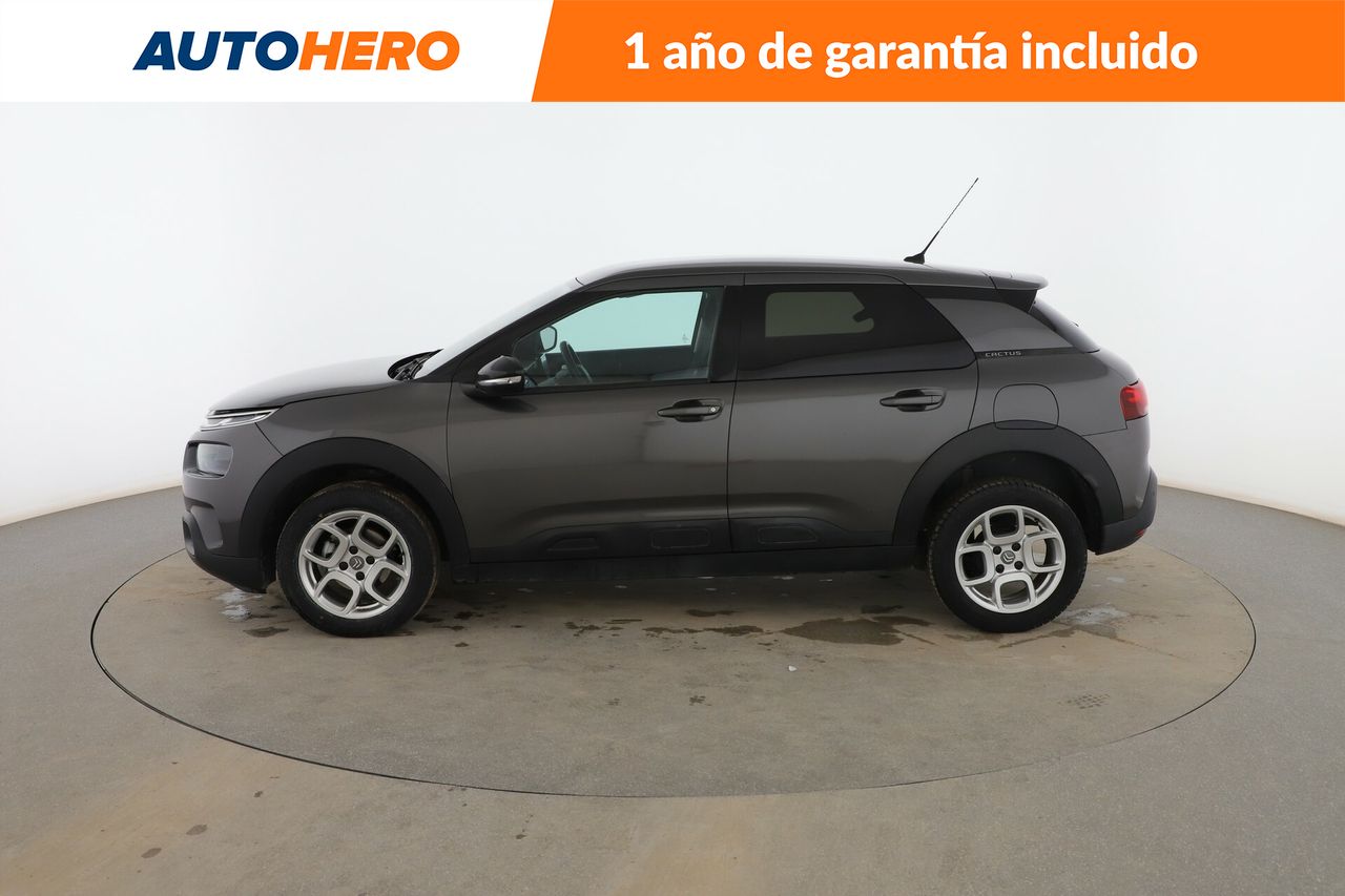 citroën c4 cactus 2019 / foto grande (3)