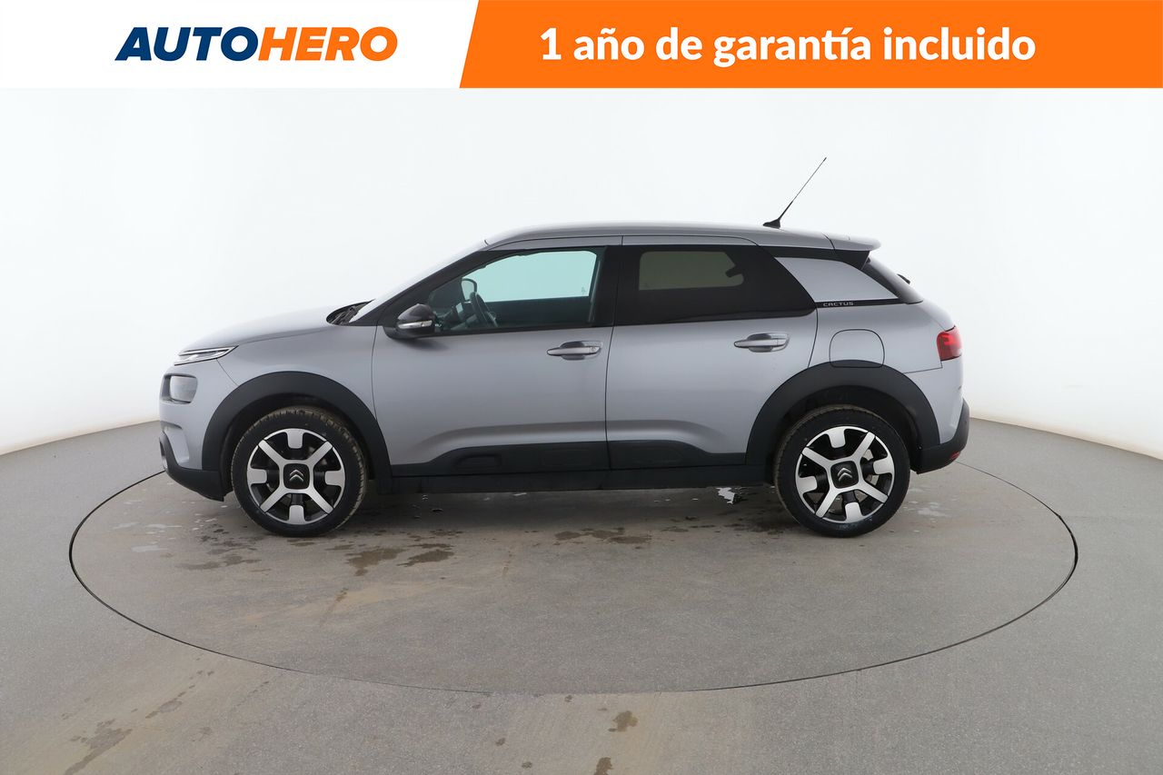 citroën c4 cactus 2019 / foto grande (3)