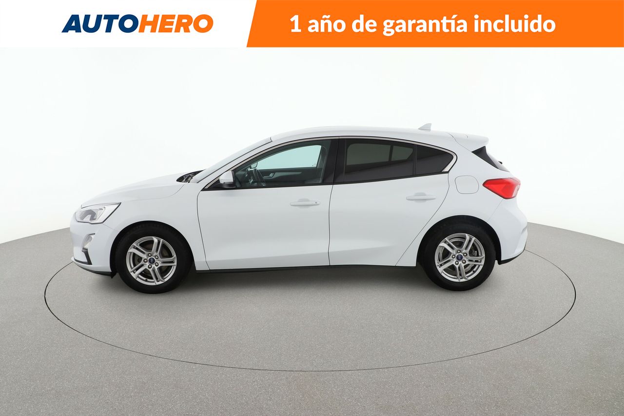 ford focus 2019 / foto grande (3)