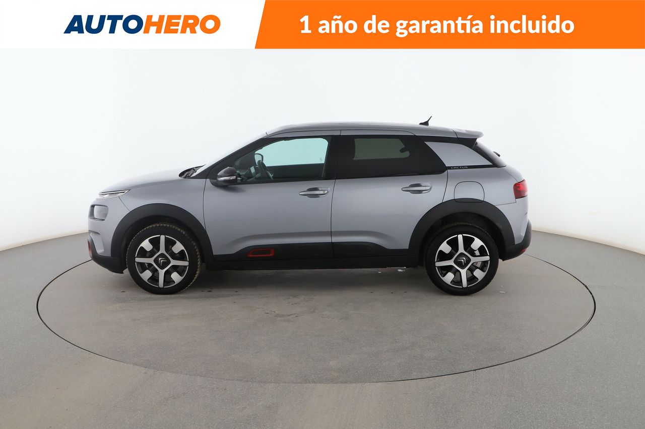 citroën c4 cactus 2019 / foto grande (3)