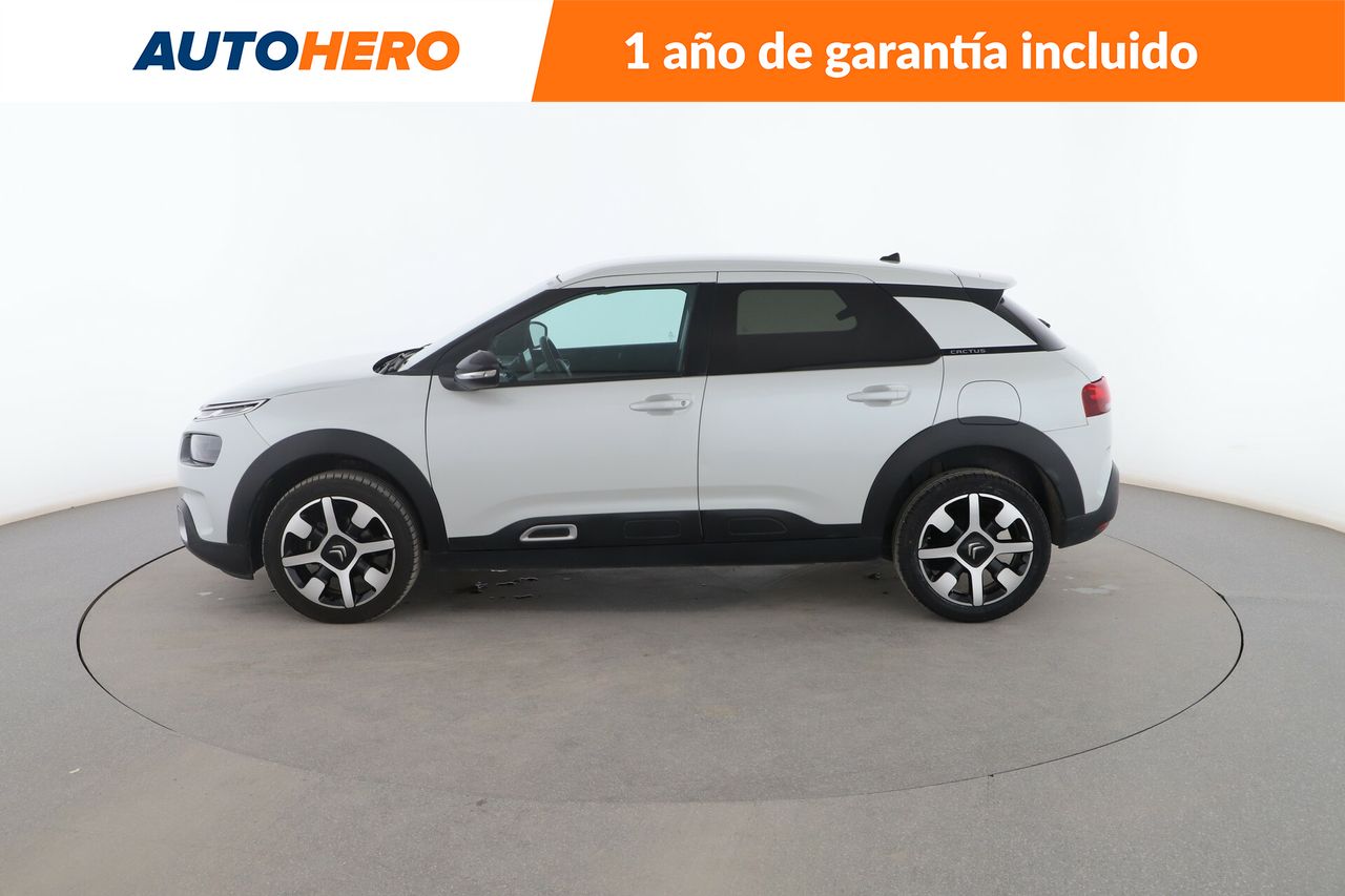 citroën c4 cactus 2020 / foto grande (3)