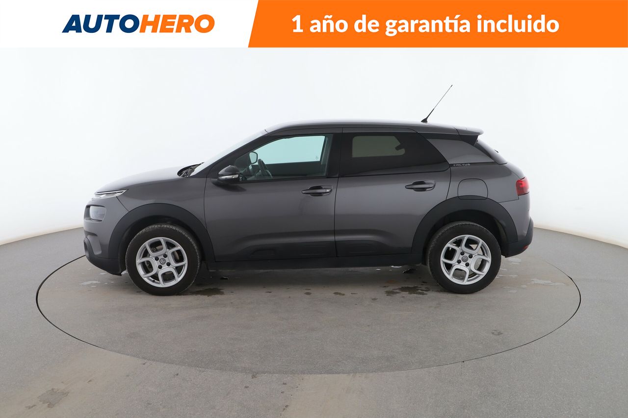 citroën c4 cactus 2019 / foto grande (3)