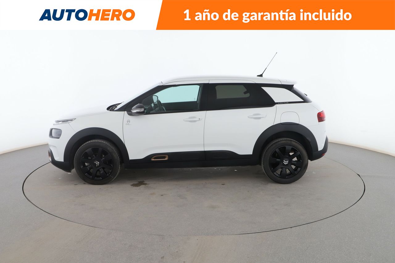 citroën c4 cactus 2019 / foto grande (3)
