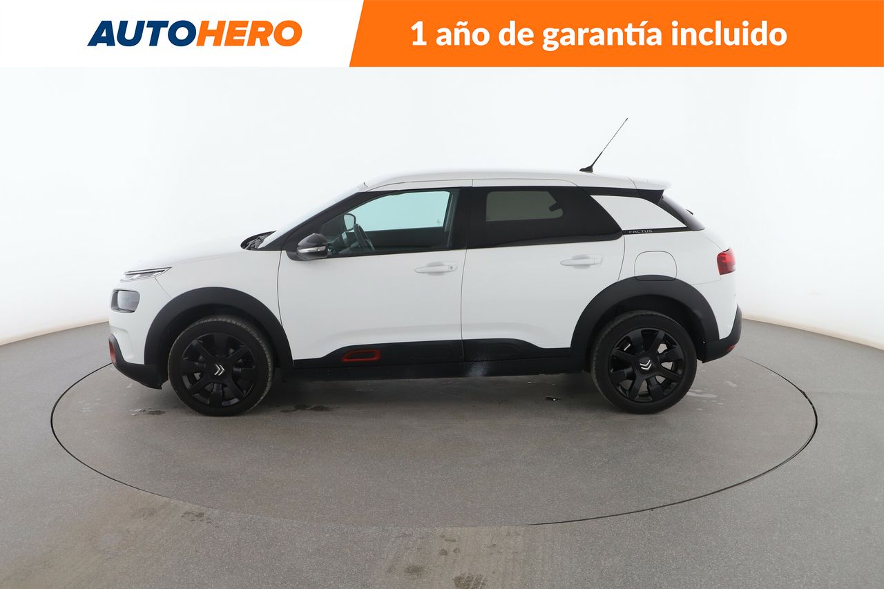 citroën c4 cactus 2019 / foto grande (3)