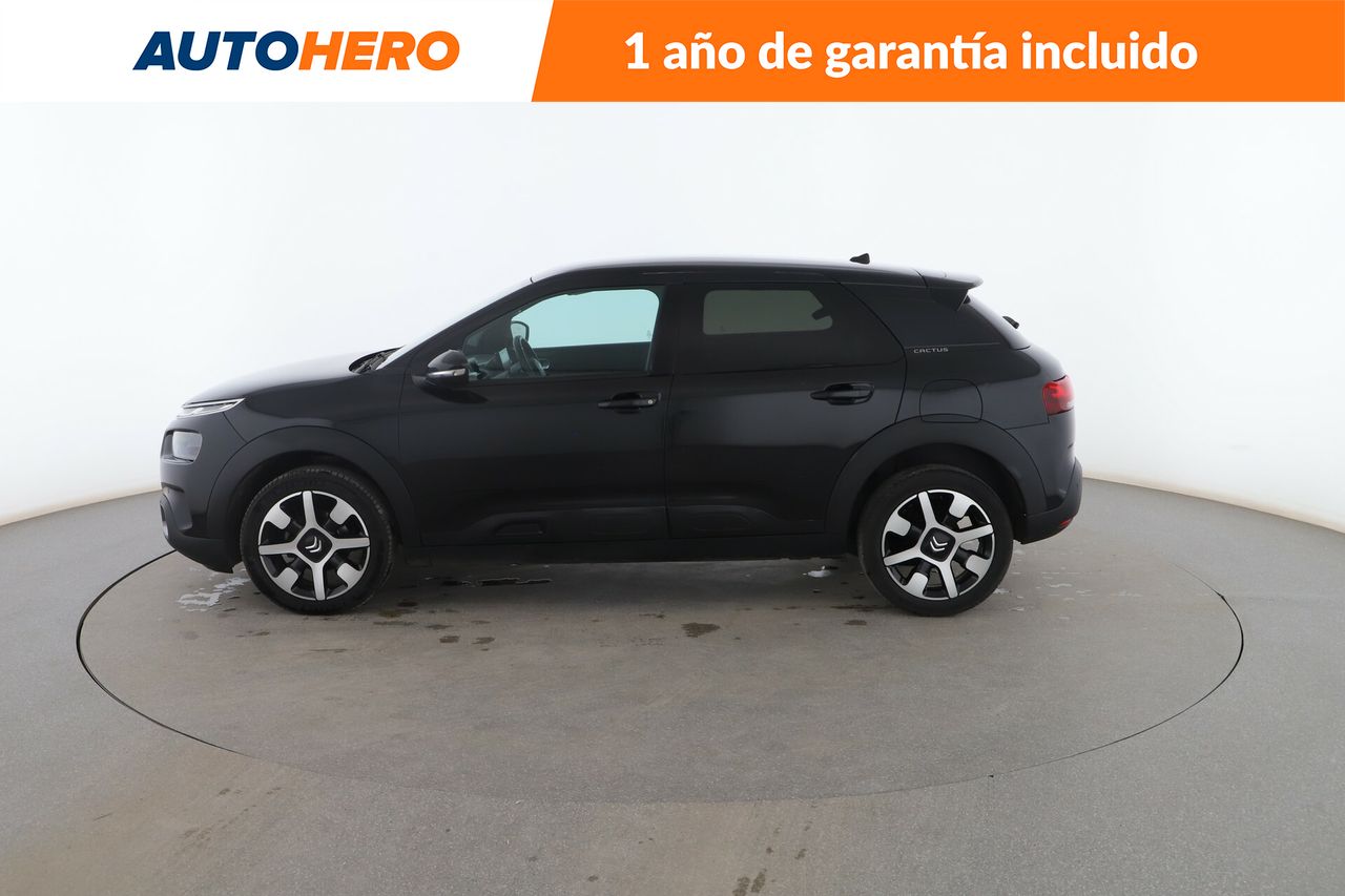 citroën c4 cactus 2020 / foto grande (3)