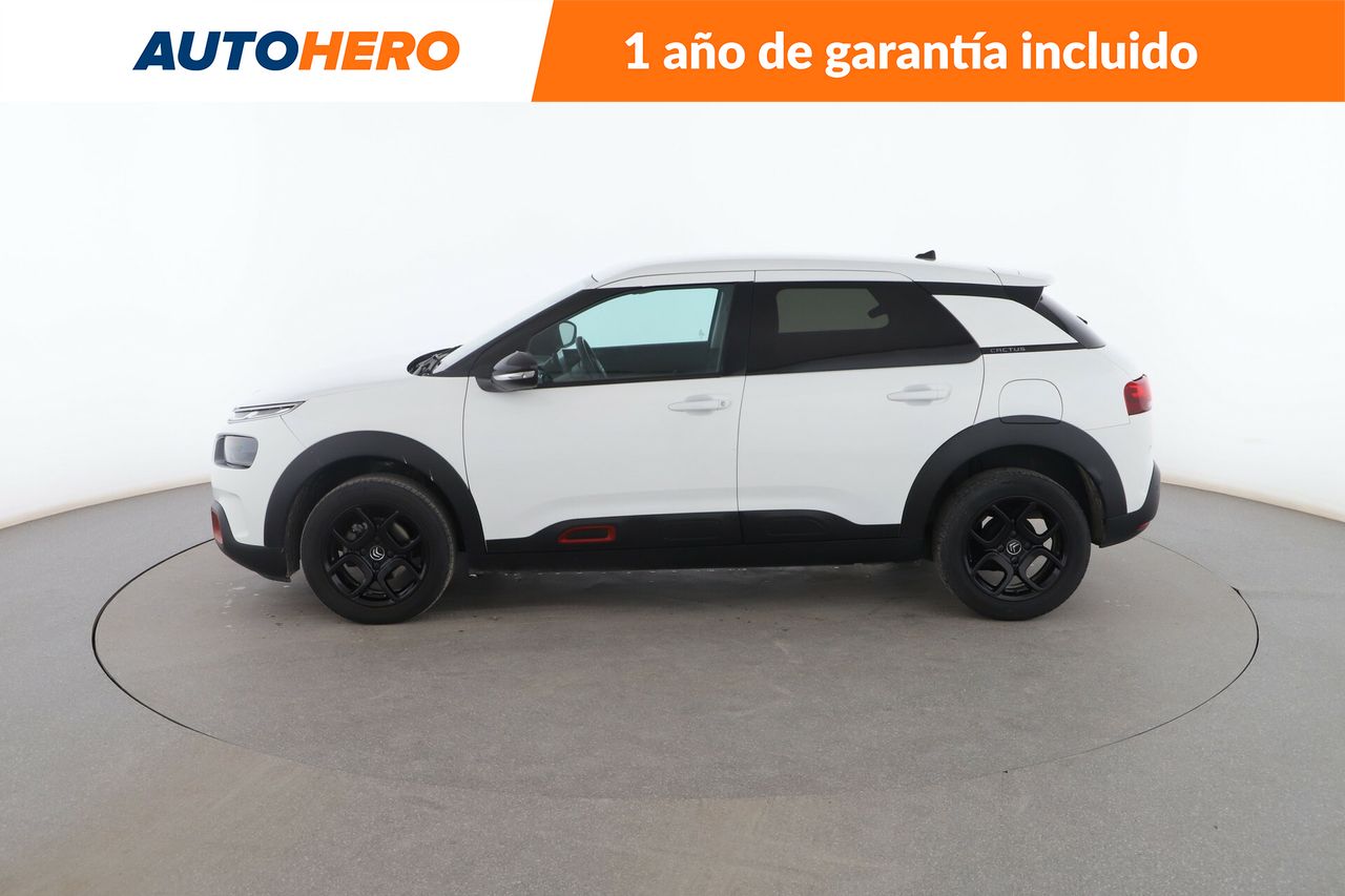 citroën c4 cactus 2019 / foto grande (3)