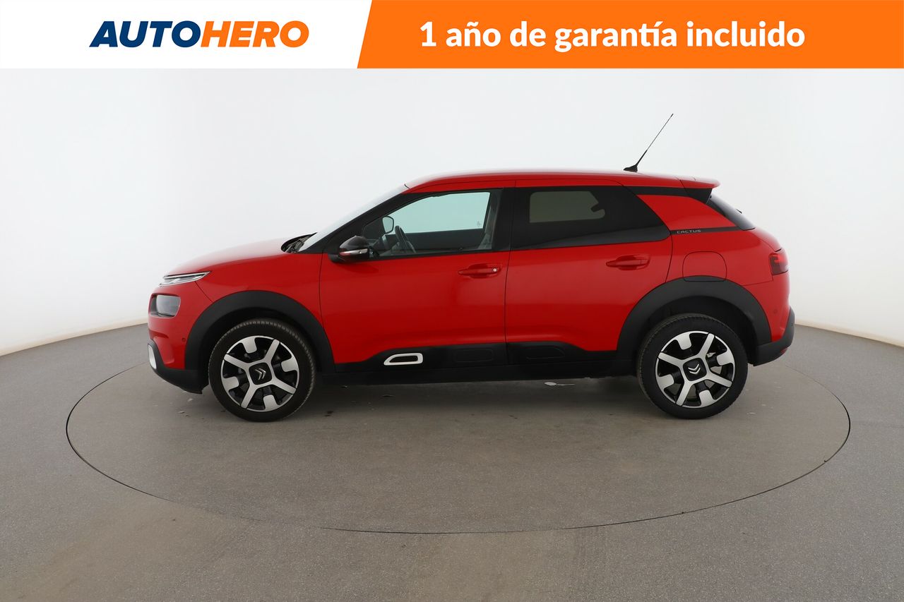citroën c4 cactus 2019 / foto grande (3)