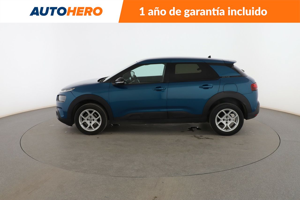 citroën c4 cactus 2019 / foto grande (3)