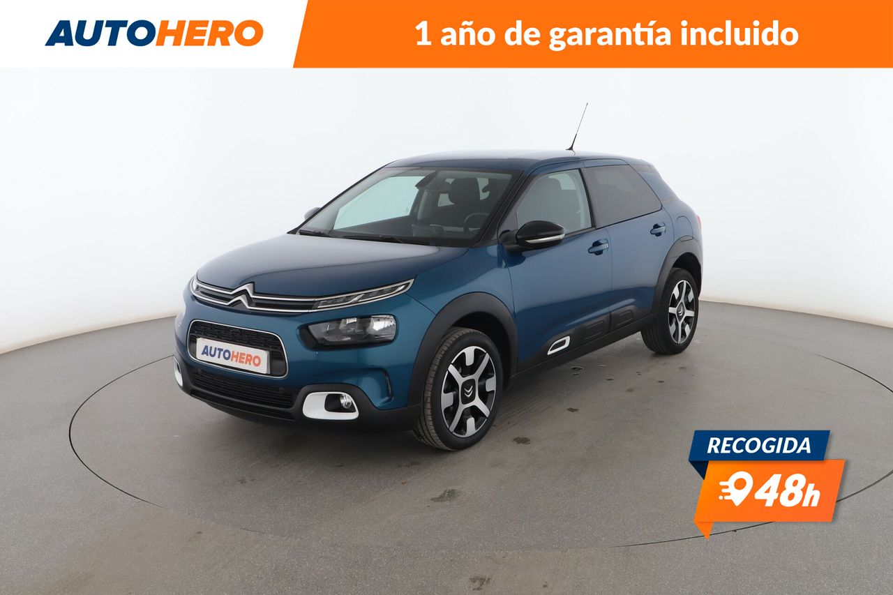 citroën c4 cactus 2019 /