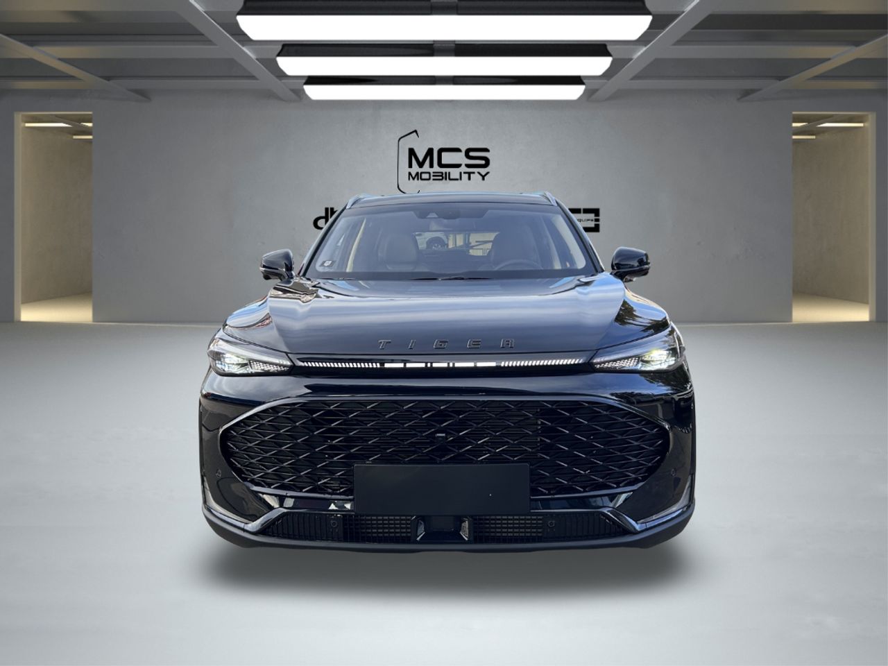 Tiger Eight 1.5T Gasolina/GLP - Foto 3