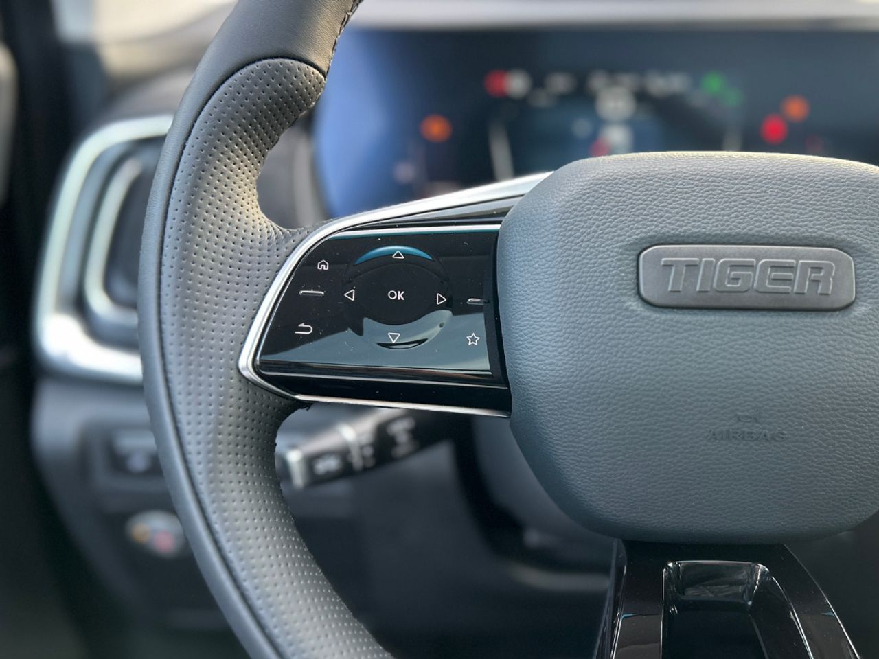 Tiger Eight 1.5T Gasolina/GLP - Foto 18
