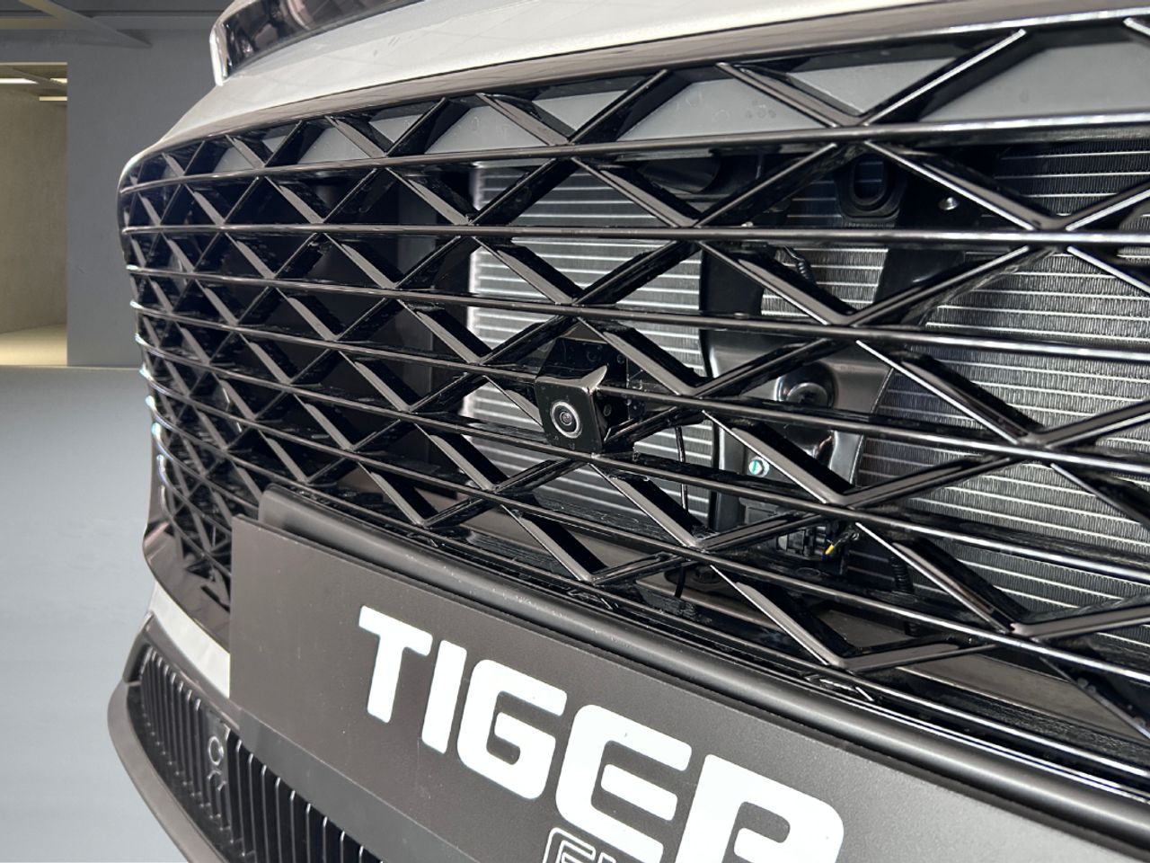 Tiger Eight  GLP - Foto 31