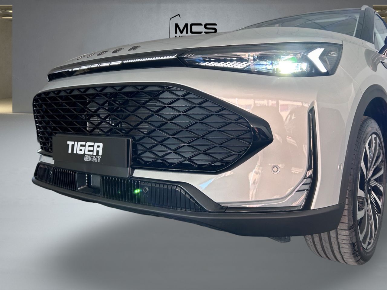 Tiger Eight  GLP - Foto 30