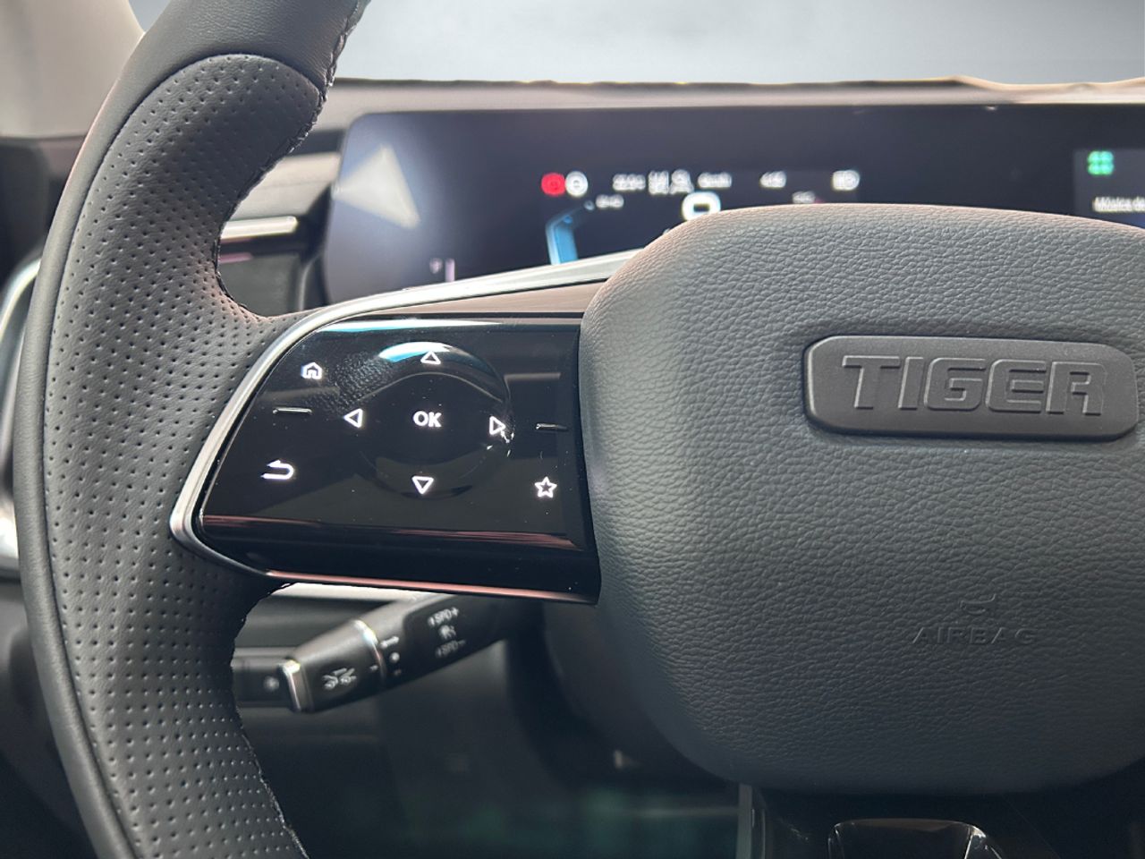 Tiger Eight  GLP - Foto 18