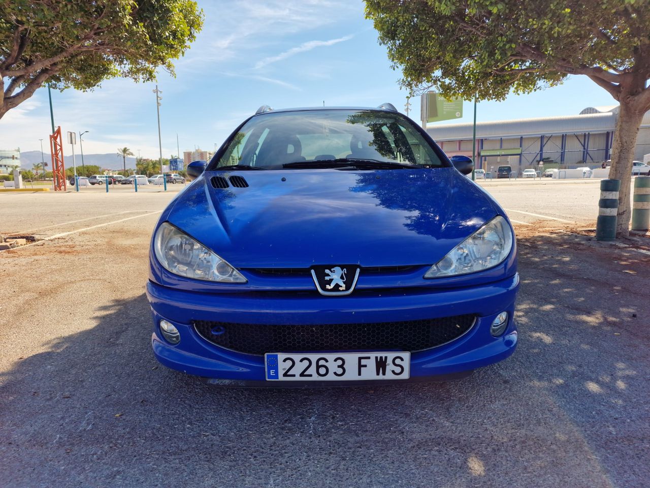 peugeot 206 sw 2007 / foto grande (1)