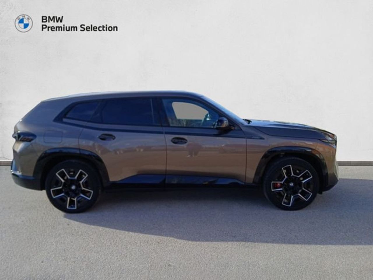 BMW XM 50e 350 kW (476 CV) - foto 21