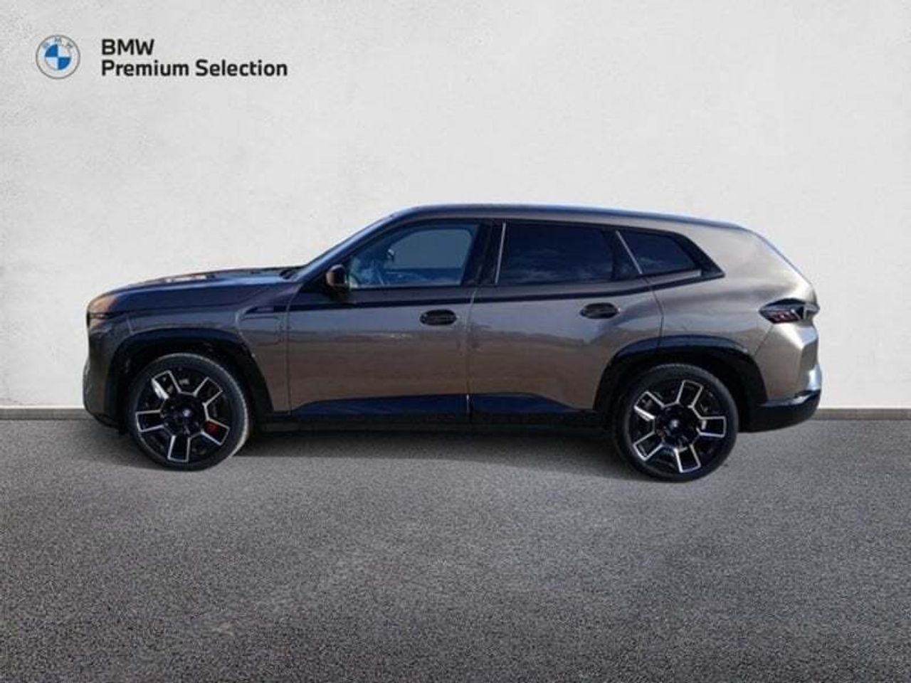 BMW XM 50e 350 kW (476 CV) - foto 3