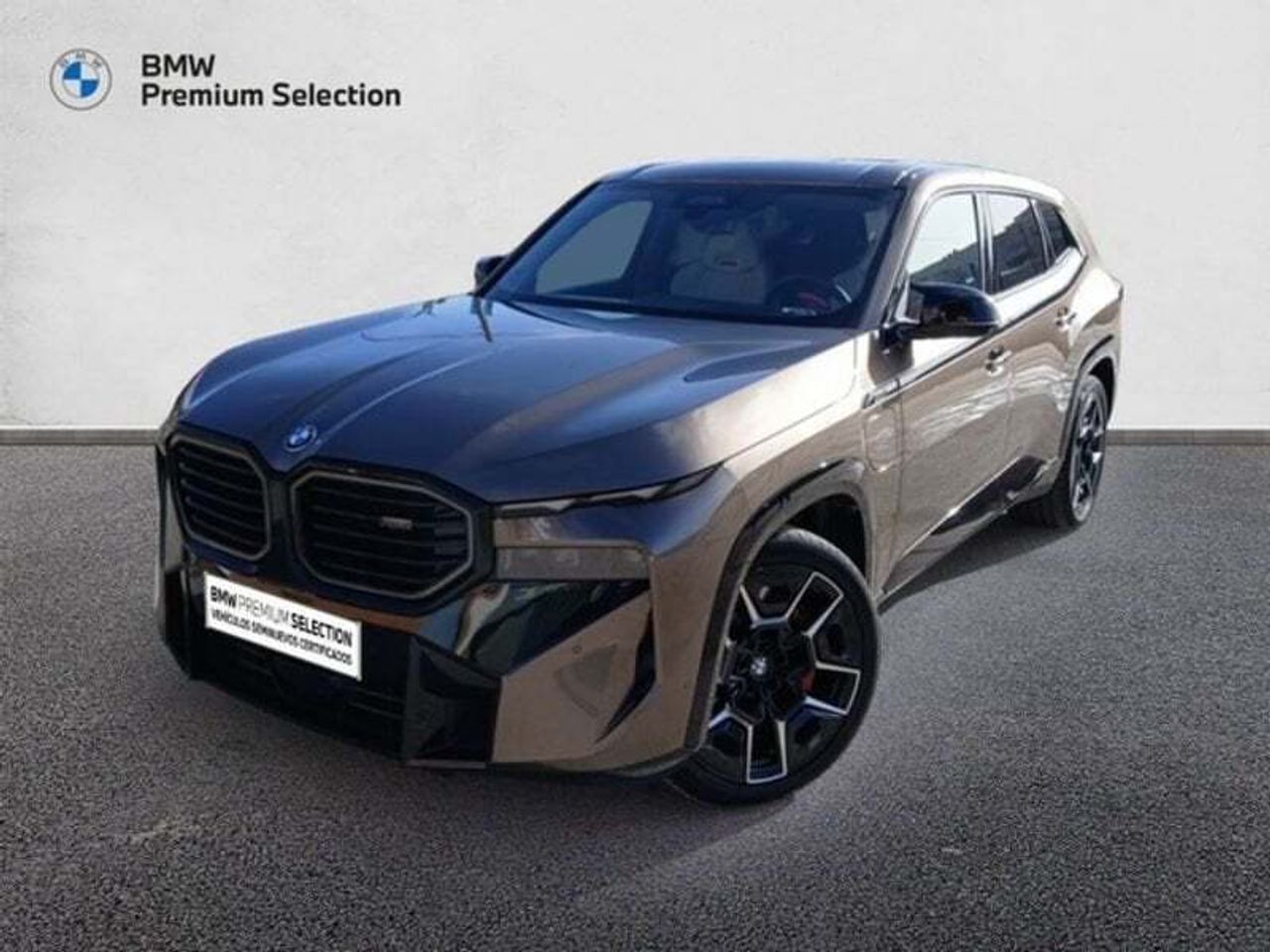 BMW XM 50e 350 kW (476 CV)