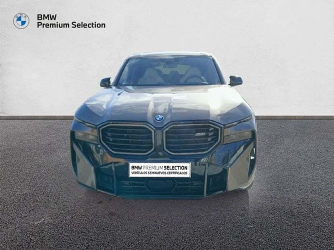 BMW XM 50e 350 kW (476 CV) - foto 2