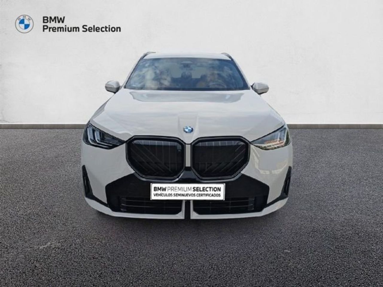 BMW X3 xDrive30e 220 kW (299 CV) - foto 2