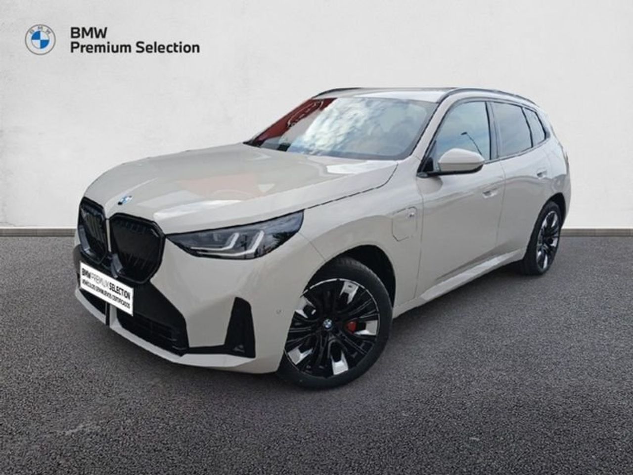 BMW X3 xDrive30e 220 kW (299 CV)