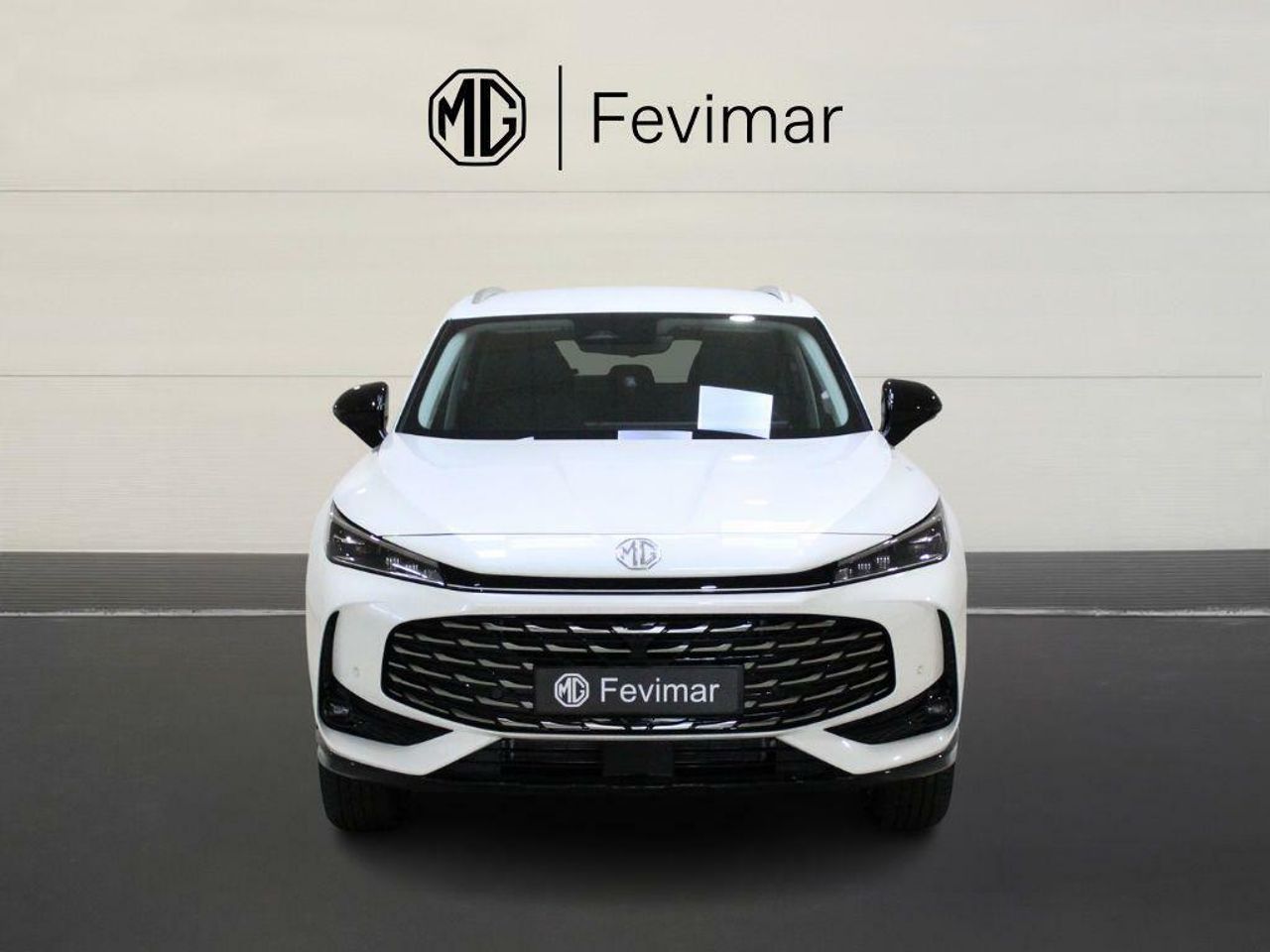 mg ehs 2025 / foto grande (2)