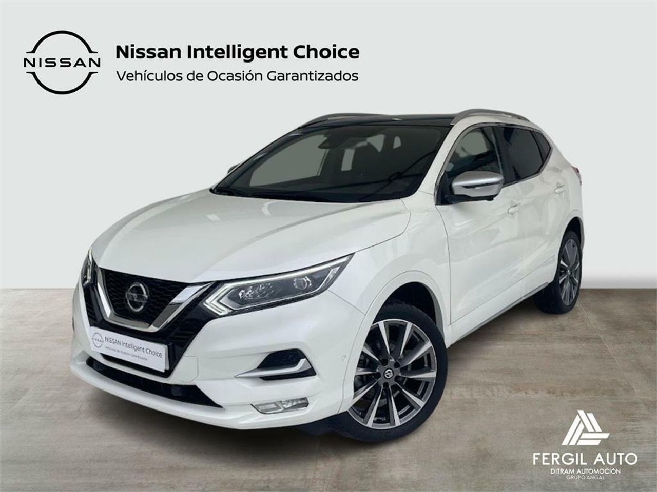 nissan qashqai 2019 /