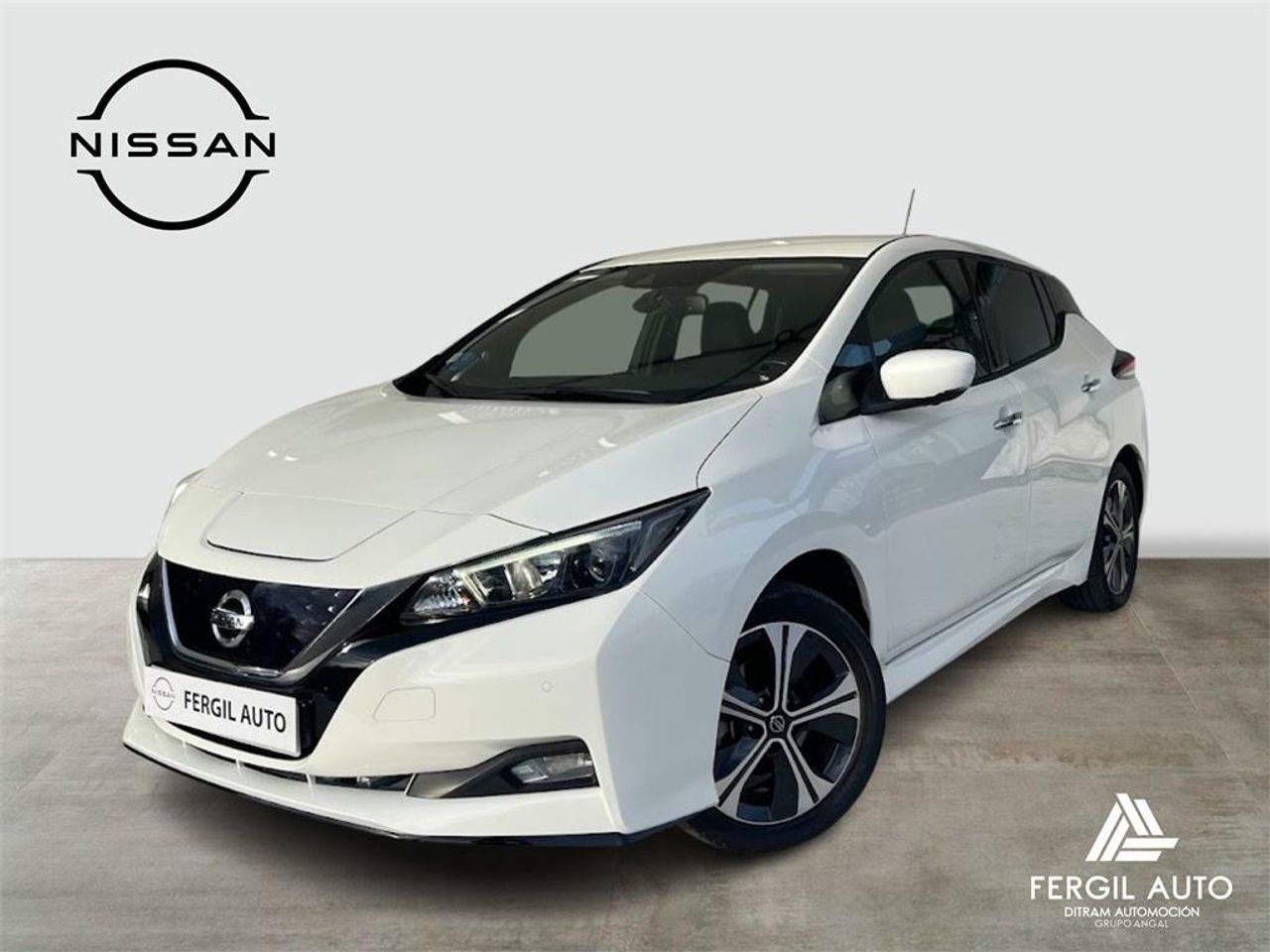 nissan leaf 2020 /