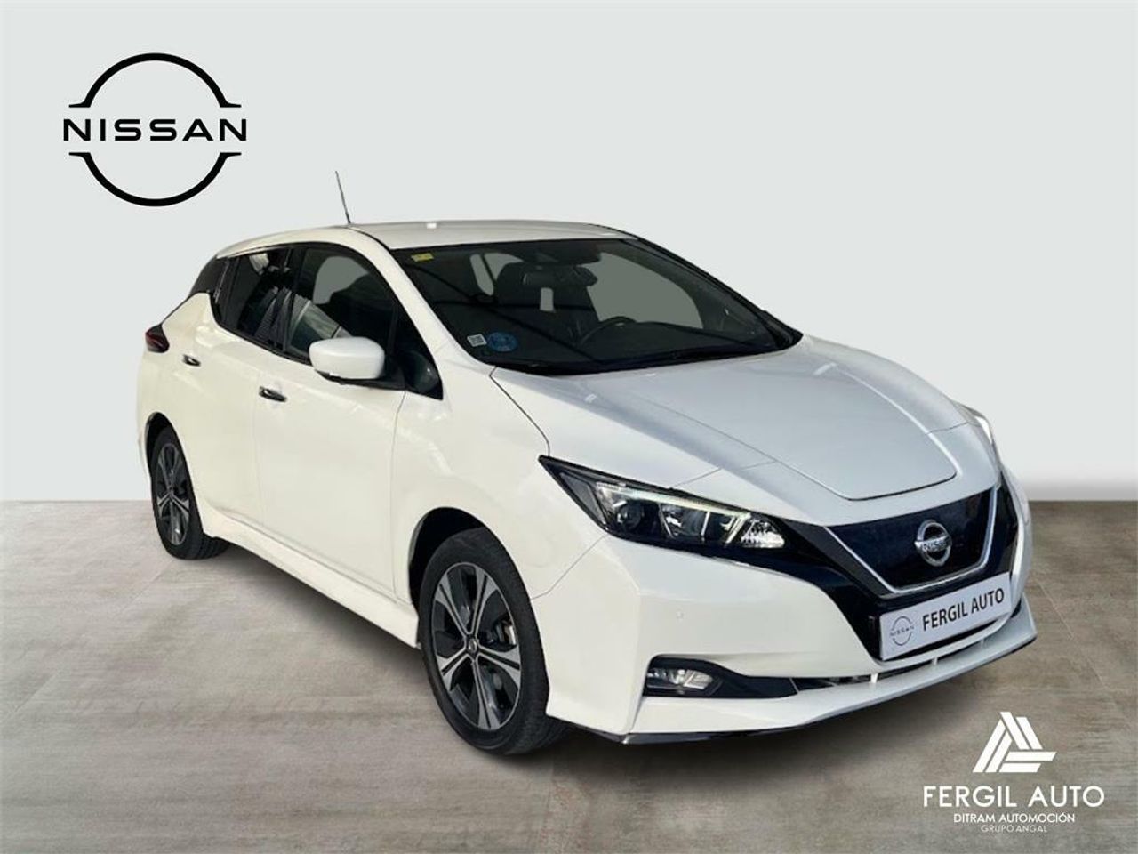 Nissan Leaf 62kWh e+ N-Connecta - Foto 2