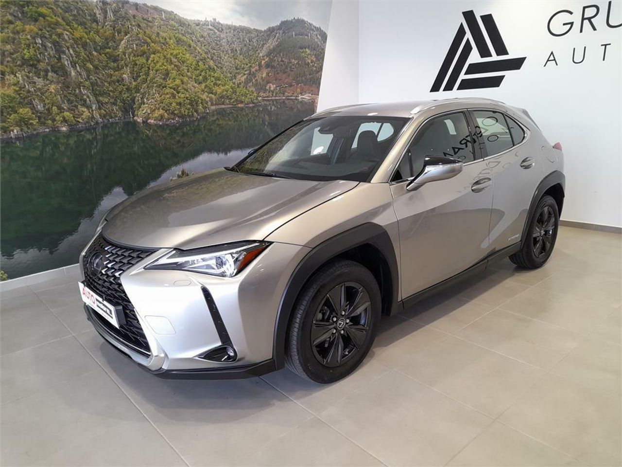 Lexus UX 2.0 250h Business - Foto 2