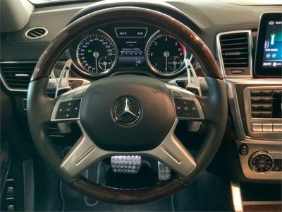 Mercedes Clase GL 350 BlueTec 4M