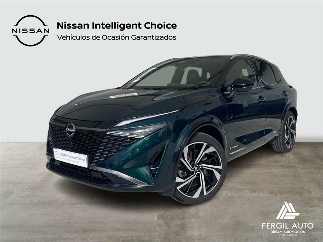 Nissan Qashqai E-POWER 140 KW (190 CV) Tekna Premium - Foto 2