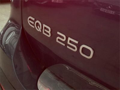 Mercedes EQB EQB 250