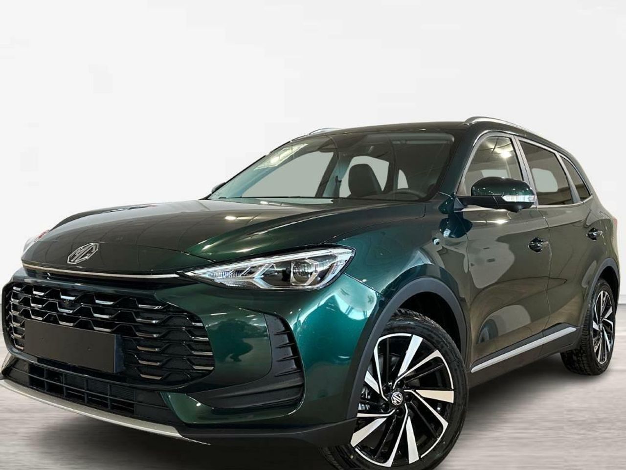 Foto mg zs 2025 /