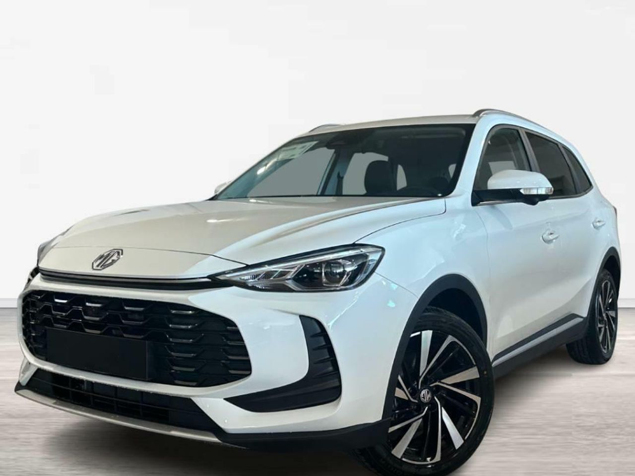 Foto mg zs 2025 /