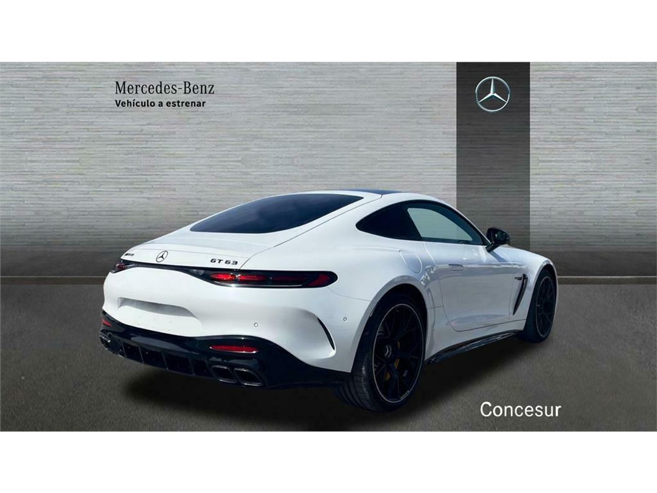mercedes amg-gt  2025 / foto grande (2)