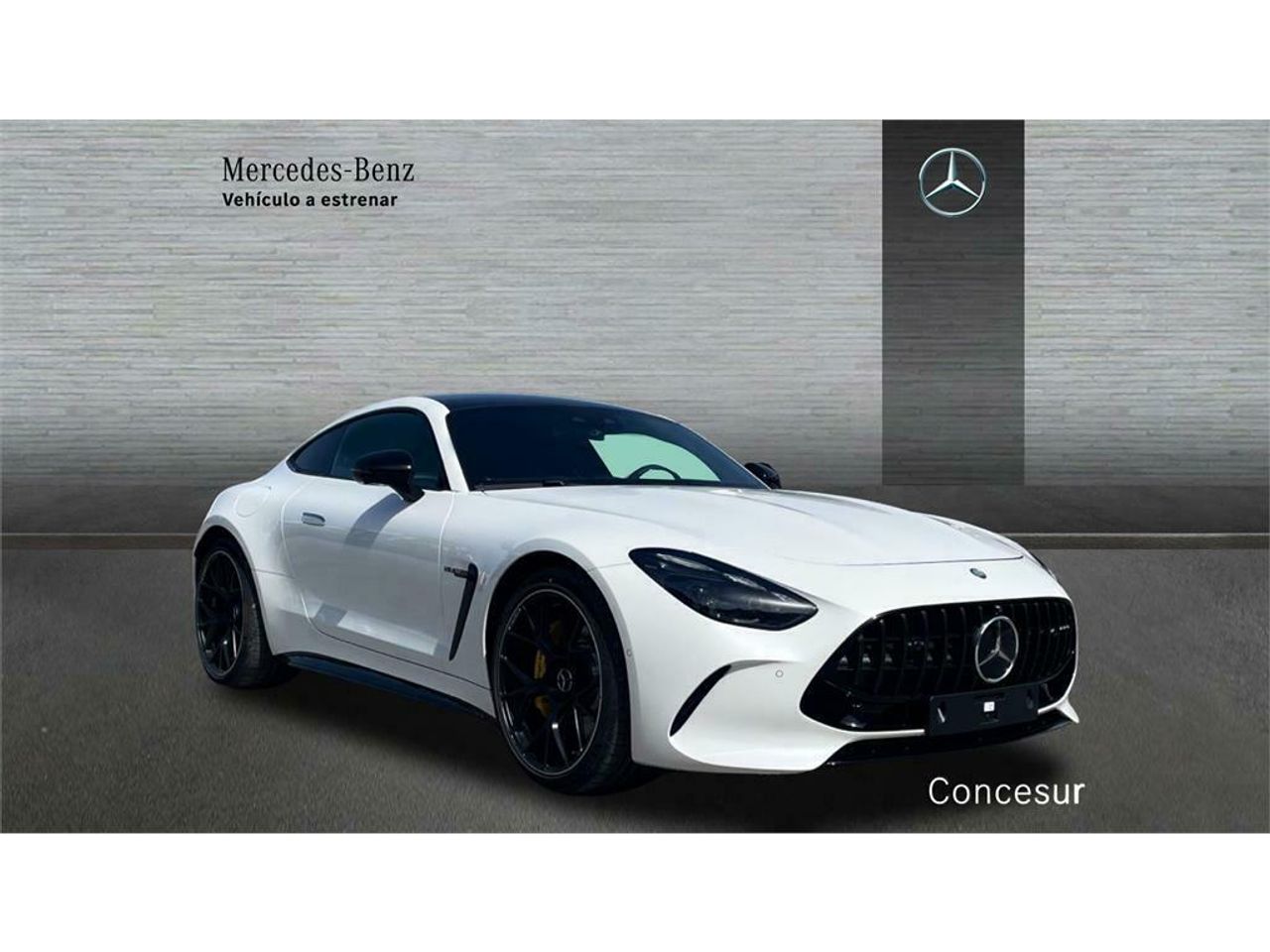 mercedes amg-gt  2025 / foto grande (3)