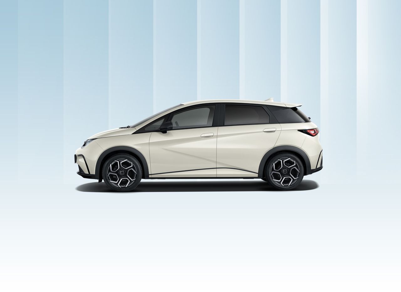 byd dolphin 2025 / foto grande (2)