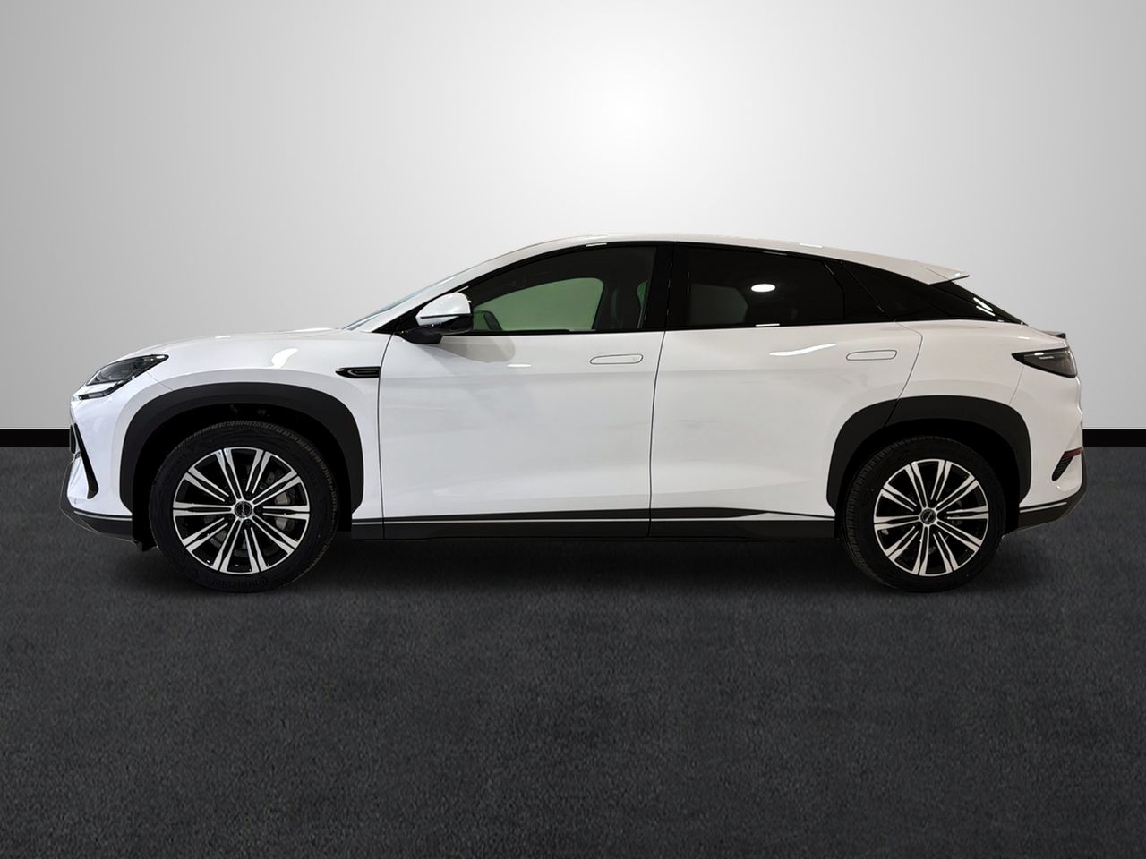 byd sealion 7 2025 / foto grande (2)
