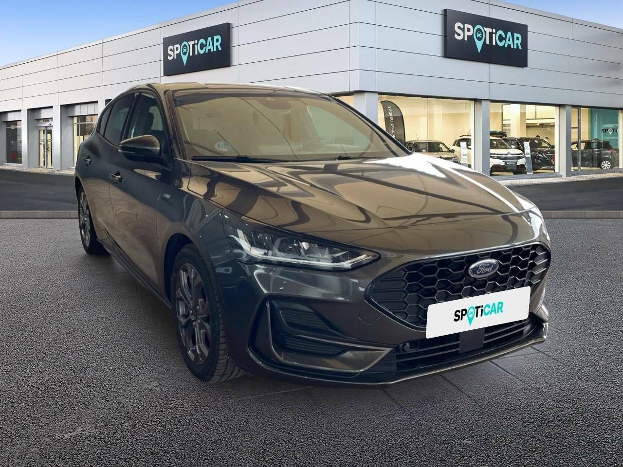 ford focus 2023 / foto grande (3)
