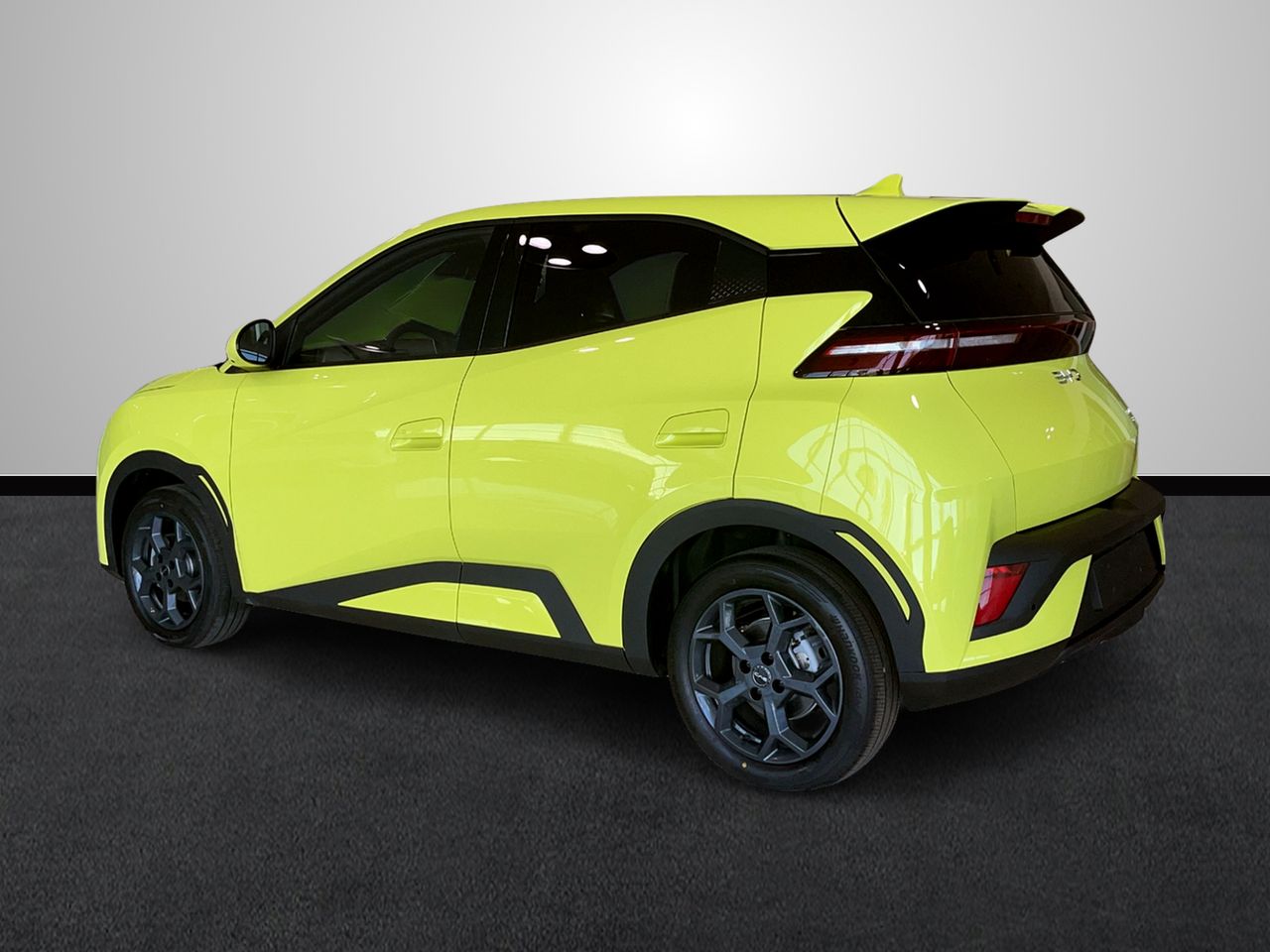 byd dolphin surf 2025 / foto grande (3)