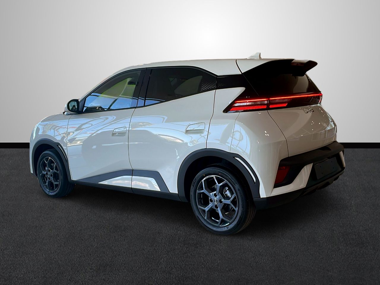 byd dolphin surf 2025 / foto grande (3)