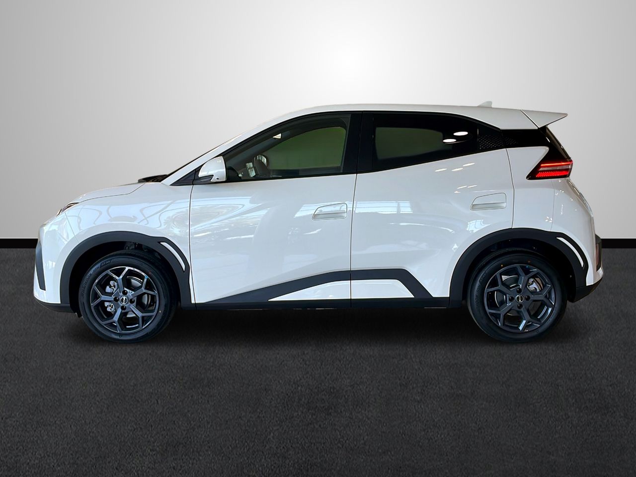 byd dolphin surf 2025 / foto grande (2)