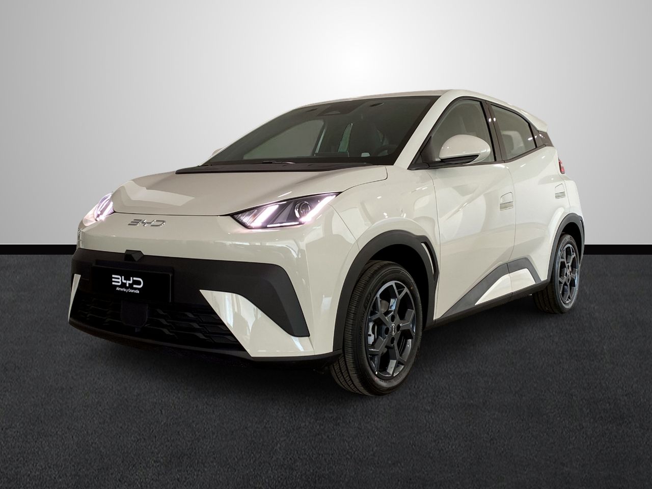 BYD Dolphin Surf Boost