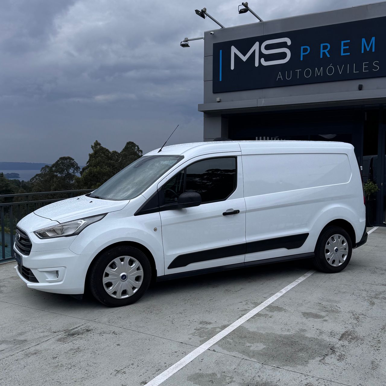 ford transit connect 2019 / foto grande (2)